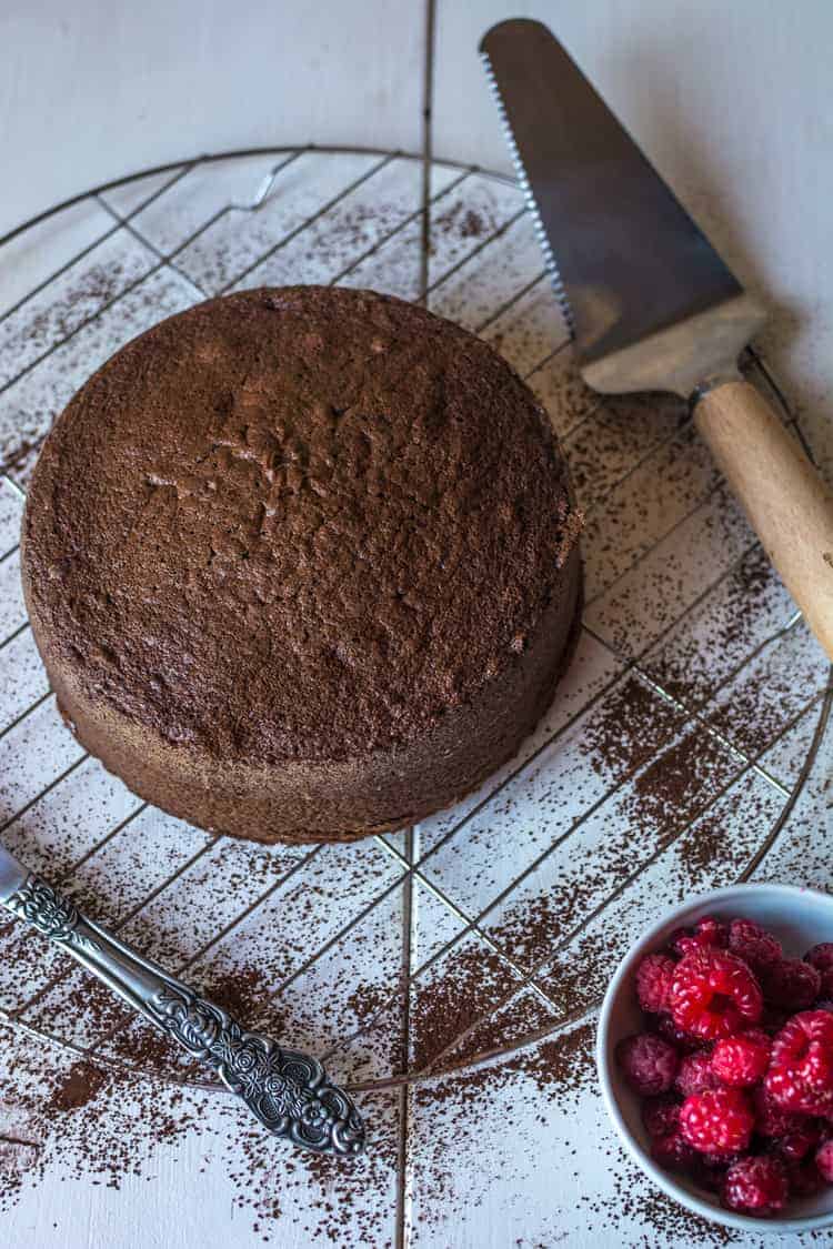 Chocolate Italian Sponge Cake Serve Chocolate Italian Sponge Cake Recipe