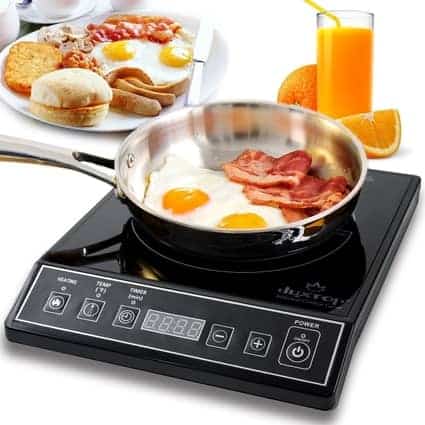 6 Best Portable Induction Cooktop Reviews Of 2020