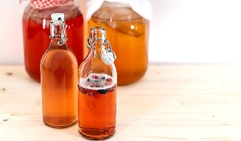 Yeboda Kombucha bottles